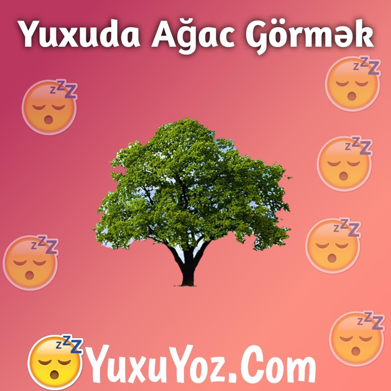 Yuxuda Agac Gormek 2023 (Tam Izahli)