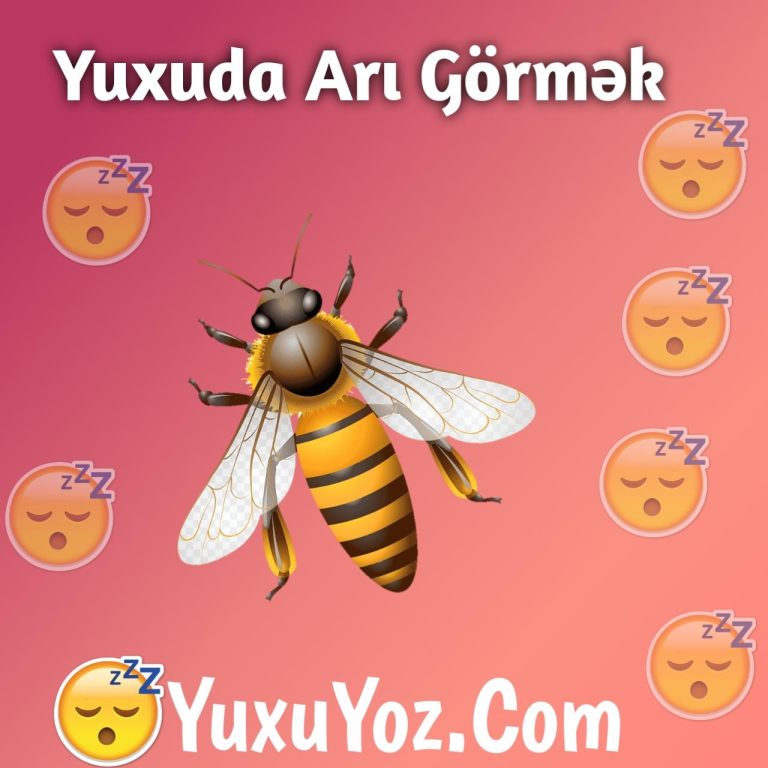 Yuxuda Ari Gormek