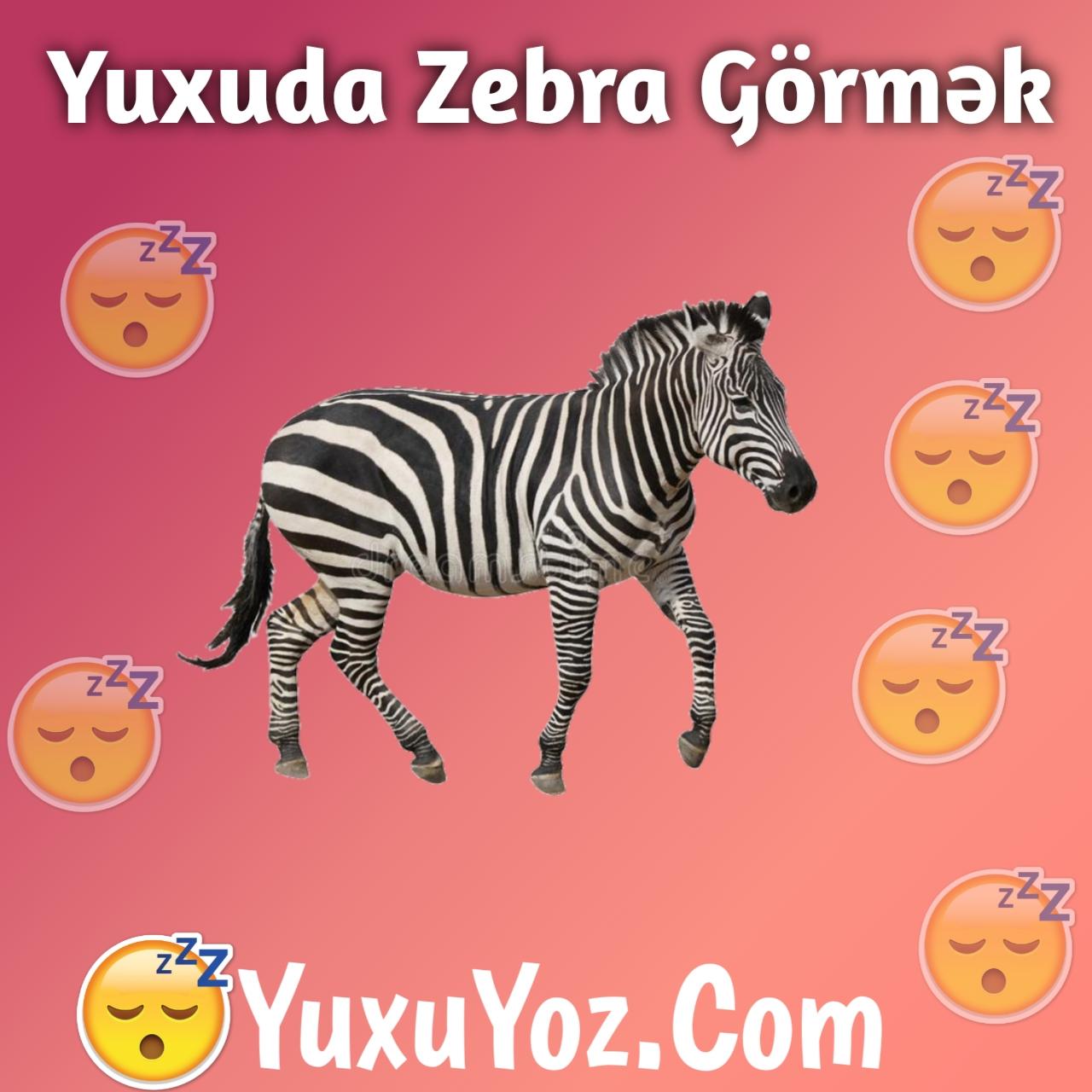 Yuxuda Zebra Gormek 2023 (Tam İzahlı)