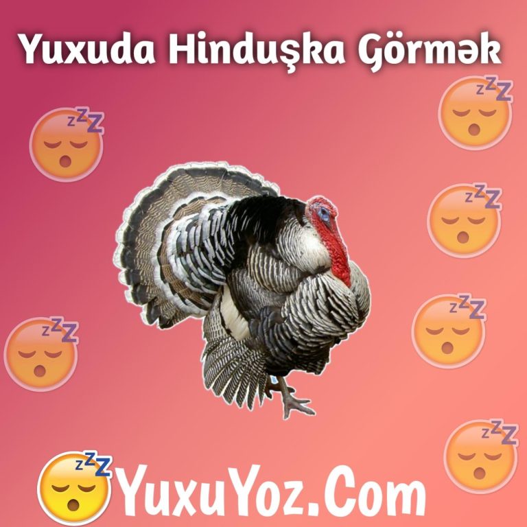 Yuxuda Hinduska Gormek