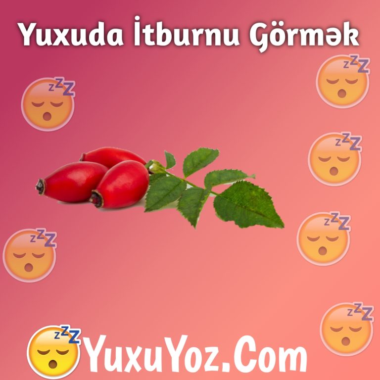 Yuxuda İtburnu Gormek