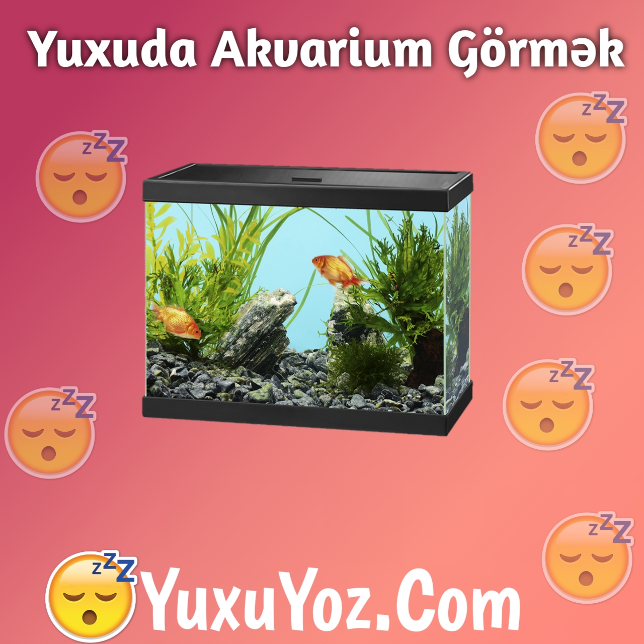 Yuxuda Akvarium Gormek 2023 (Tam İzahlı)